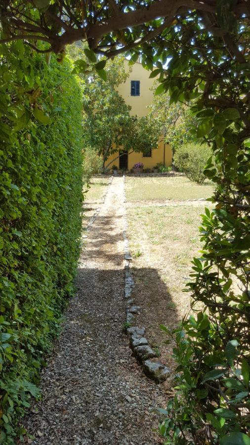 La Limonaia Vila Florença Exterior foto